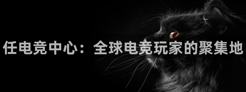 一竞技app下载安装